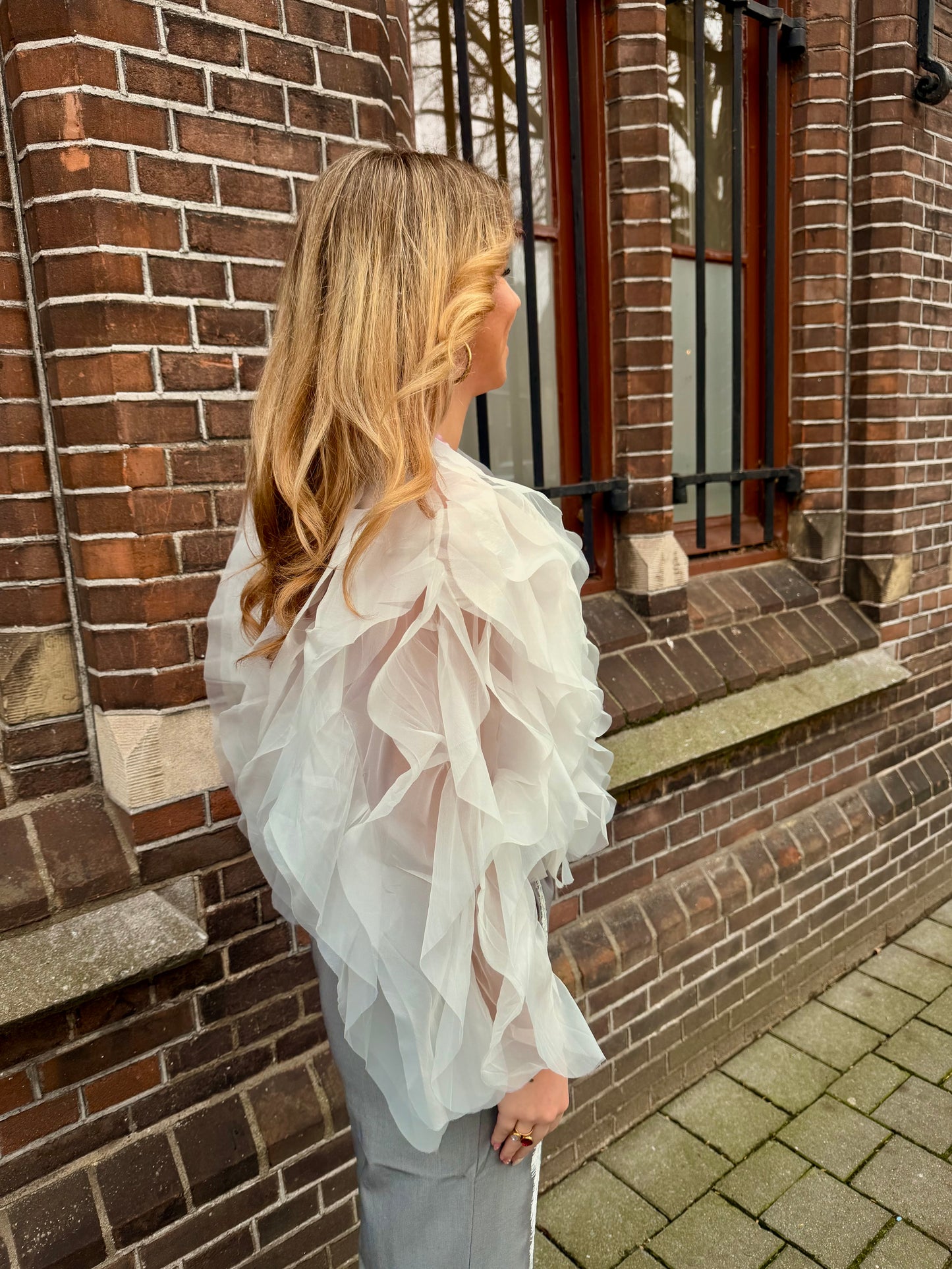 Soft Ruffle Blouse